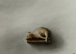 lam op plankje wit in antieke zwarte lijst  37. 5 x 20.0 cm